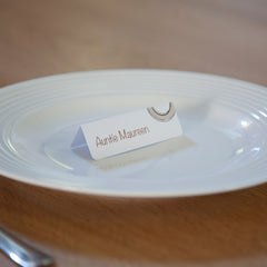 Print Your Own Place Cards- Promaxx Printable Products 